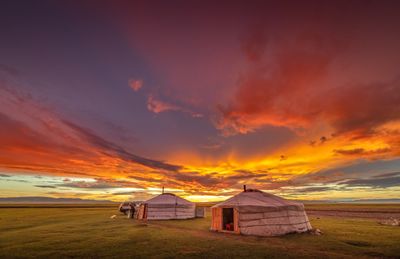 Travel idea: Wonders of Gobi 